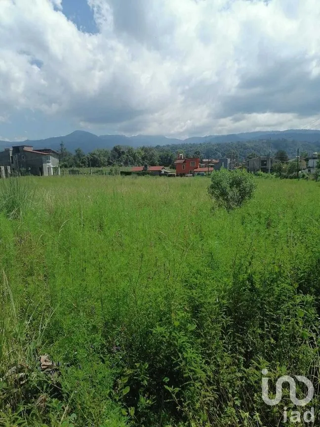 Terreno en Venta en Cuadrilla de Dolores, Valle de Bravo, Estado De México | NEX-227255 | iad México | Foto 5 de 8