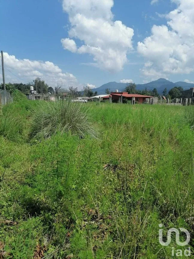 Terreno en Venta en Cuadrilla de Dolores, Valle de Bravo, Estado De México | NEX-227255 | iad México | Foto 6 de 8