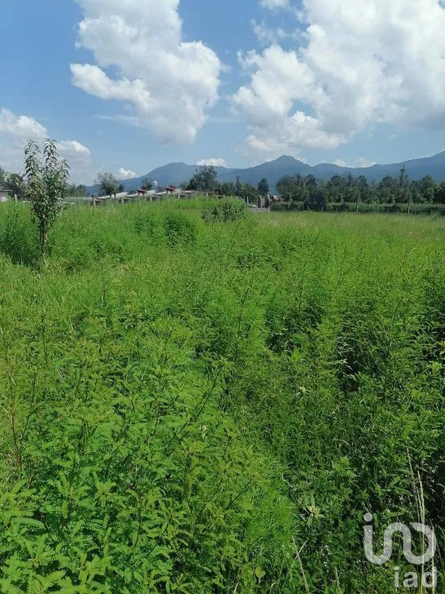 Terreno en Venta en Cuadrilla de Dolores, Valle de Bravo, Estado De México | NEX-227255 | iad México | Foto 8 de 8