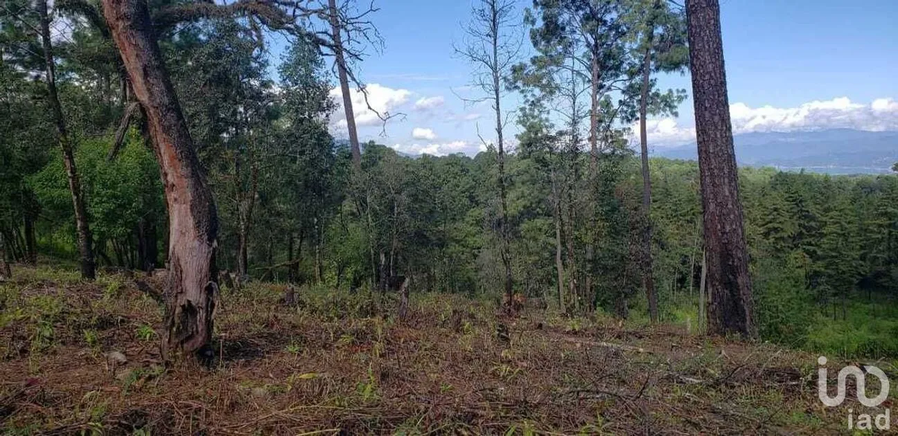Terreno en Venta en Cuadrilla de Dolores, Valle de Bravo, Estado De México | NEX-227257 | iad México | Foto 2 de 9