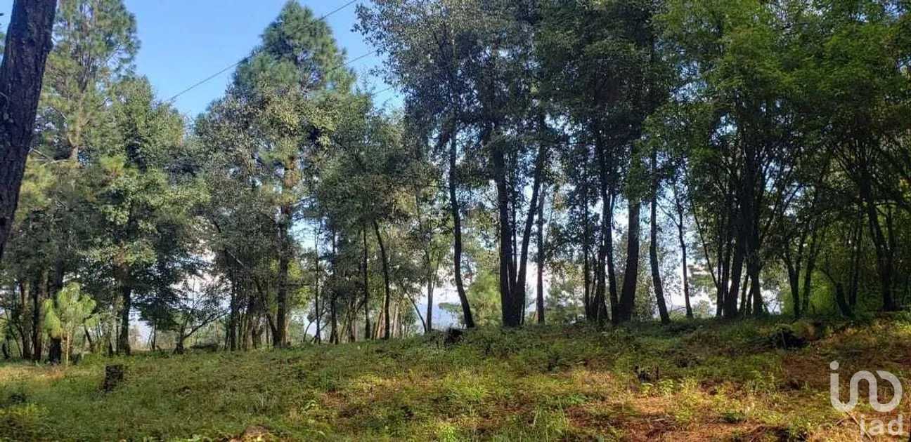 Terreno en Venta en Cuadrilla de Dolores, Valle de Bravo, Estado De México | NEX-227257 | iad México | Foto 3 de 9