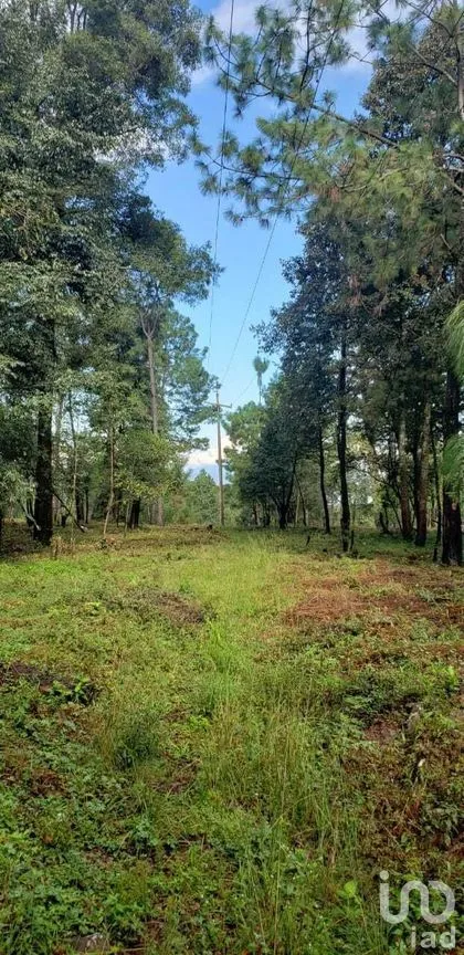 Terreno en Venta en Cuadrilla de Dolores, Valle de Bravo, Estado De México | NEX-227257 | iad México | Foto 4 de 9