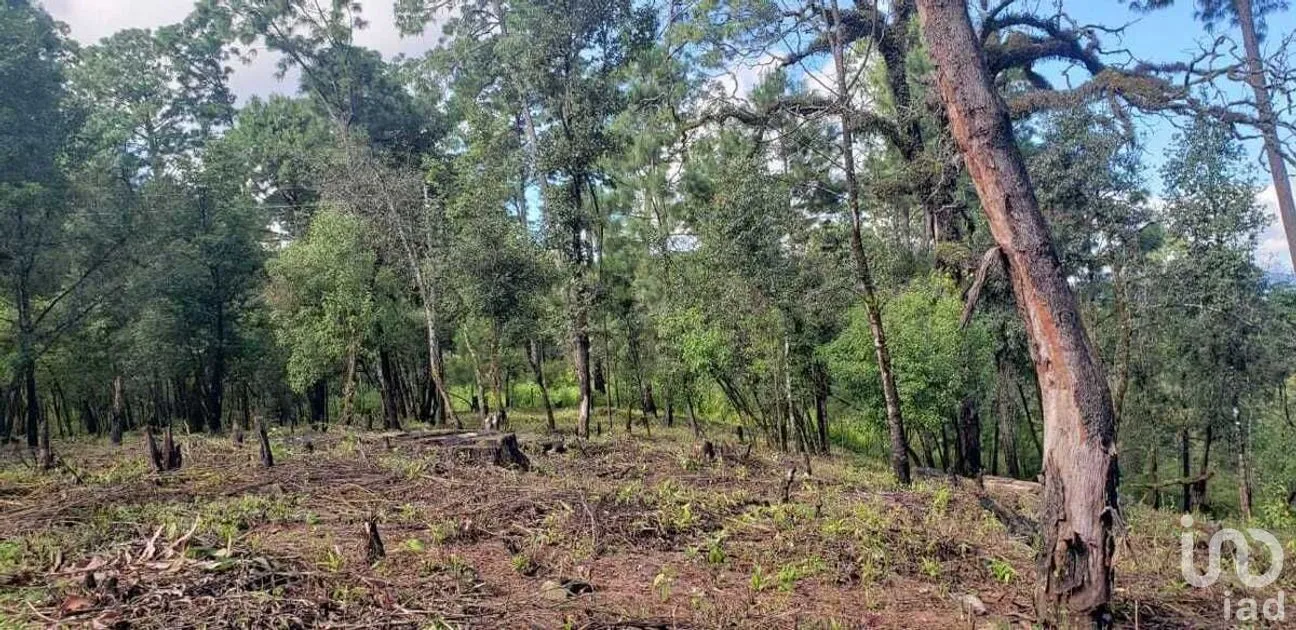 Terreno en Venta en Cuadrilla de Dolores, Valle de Bravo, Estado De México | NEX-227257 | iad México | Foto 5 de 9