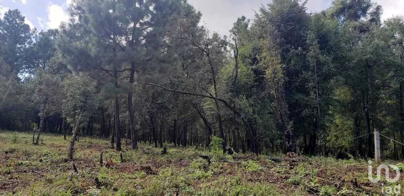 Terreno en Venta en Cuadrilla de Dolores, Valle de Bravo, Estado De México | NEX-227257 | iad México | Foto 6 de 9