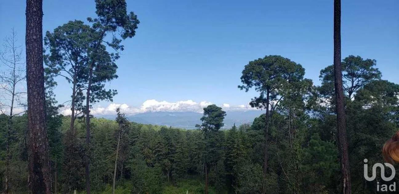 Terreno en Venta en Cuadrilla de Dolores, Valle de Bravo, Estado De México | NEX-227257 | iad México | Foto 1 de 9