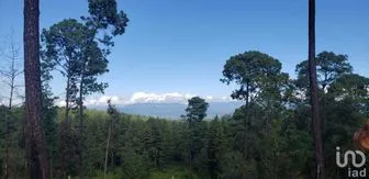 NEX-227257 - Terreno en Venta en Cuadrilla de Dolores, CP 51225, Estado De México.