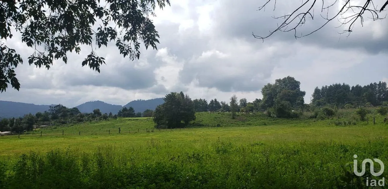 Terreno en Venta en Cuadrilla de Dolores, Valle de Bravo, Estado De México | NEX-227258 | iad México | Foto 2 de 7