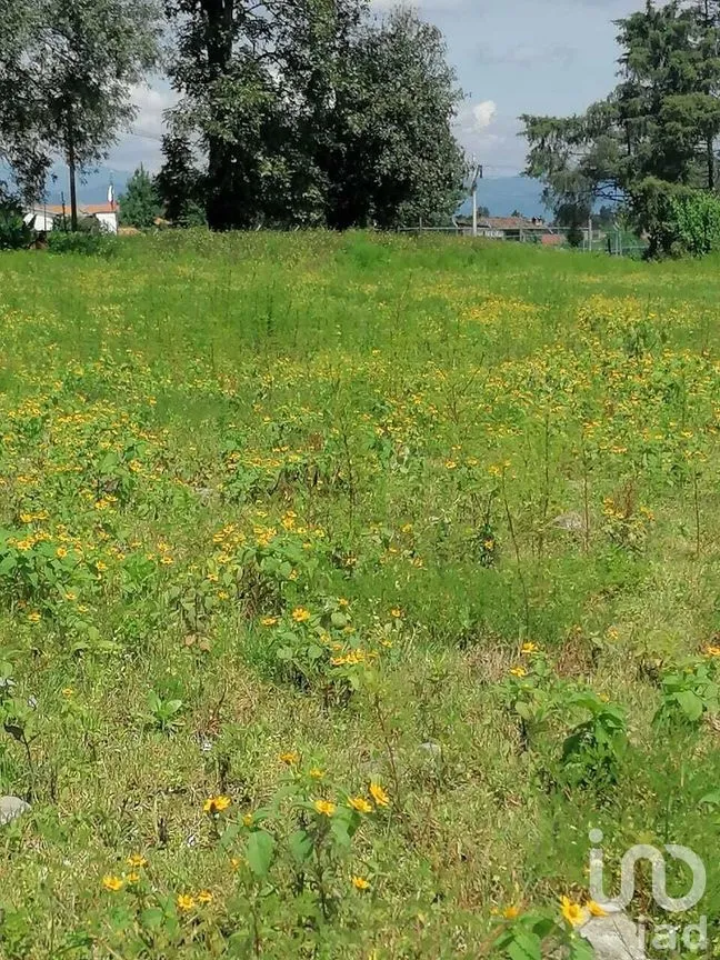 Terreno en Venta en Cuadrilla de Dolores, Valle de Bravo, Estado De México | NEX-227258 | iad México | Foto 4 de 7