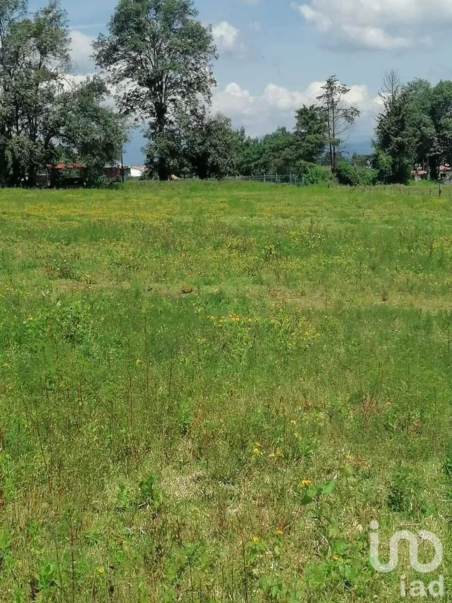 Terreno en Venta en Cuadrilla de Dolores, Valle de Bravo, Estado De México | NEX-227258 | iad México | Foto 5 de 7