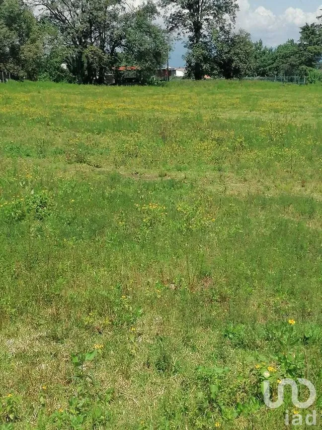 Terreno en Venta en Cuadrilla de Dolores, Valle de Bravo, Estado De México | NEX-227258 | iad México | Foto 6 de 7