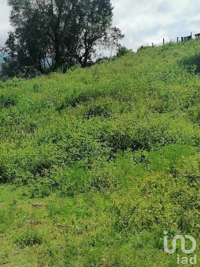 Terreno en Venta en Cuadrilla de Dolores, Valle de Bravo, Estado De México | NEX-227258 | iad México | Foto 7 de 7