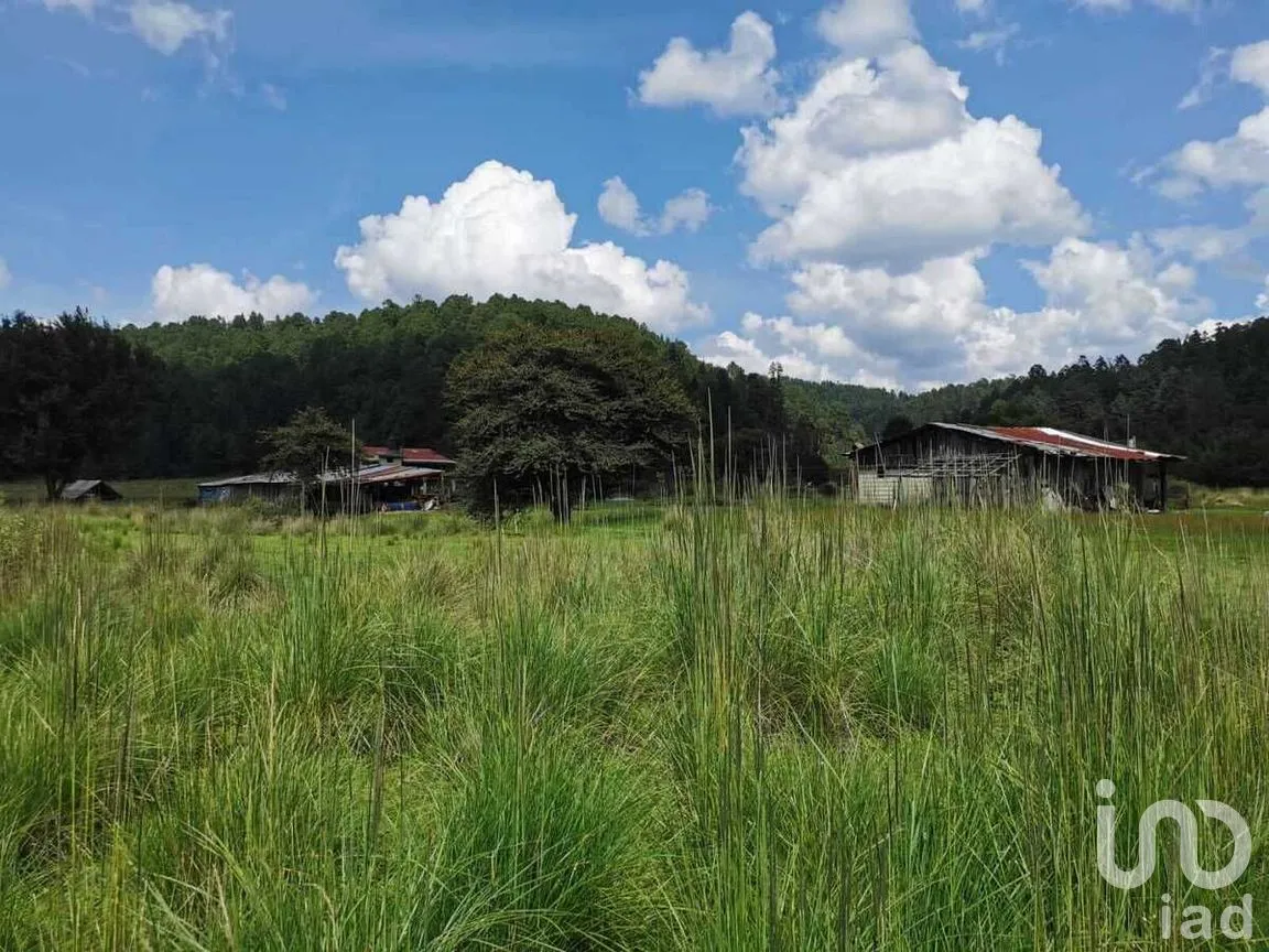 Terreno en Venta en Valle de Bravo, Valle de Bravo, Estado De México | NEX-227263 | iad México | Foto 15 de 20