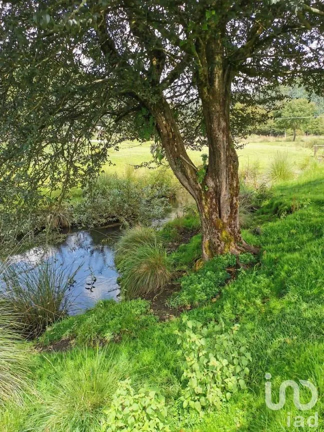Terreno en Venta en Valle de Bravo, Valle de Bravo, Estado De México | NEX-227263 | iad México | Foto 8 de 20