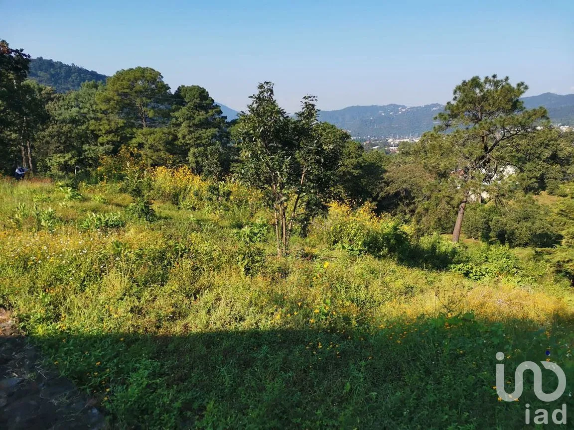 Terreno en Venta en Pipioltepec, Valle de Bravo, Estado De México | NEX-227264 | iad México | Foto 2 de 6