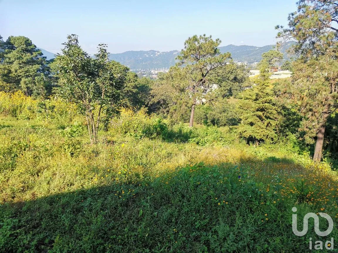 Terreno en Venta en Pipioltepec, Valle de Bravo, Estado De México | NEX-227264 | iad México | Foto 3 de 6