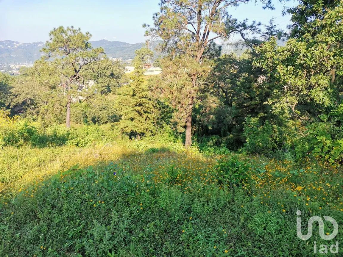 Terreno en Venta en Pipioltepec, Valle de Bravo, Estado De México | NEX-227264 | iad México | Foto 4 de 6