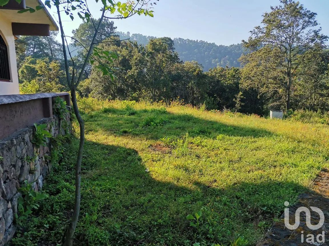 Terreno en Venta en Pipioltepec, Valle de Bravo, Estado De México | NEX-227264 | iad México | Foto 5 de 6