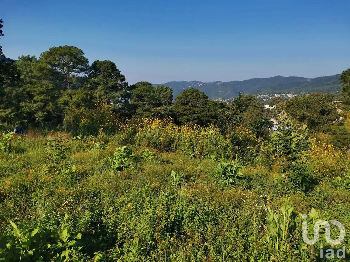 Terreno en Venta en Pipioltepec, Valle de Bravo, Estado De México | NEX-227264 | iad México | Foto 1 de 6