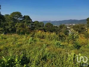 NEX-227264 - Terreno en Venta en Pipioltepec, CP 51209, Estado De México.