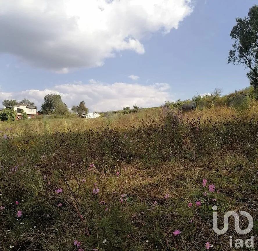 Terreno en Venta en Cuadrilla de Dolores, Valle de Bravo, Estado De México | NEX-227265 | iad México | Foto 11 de 13