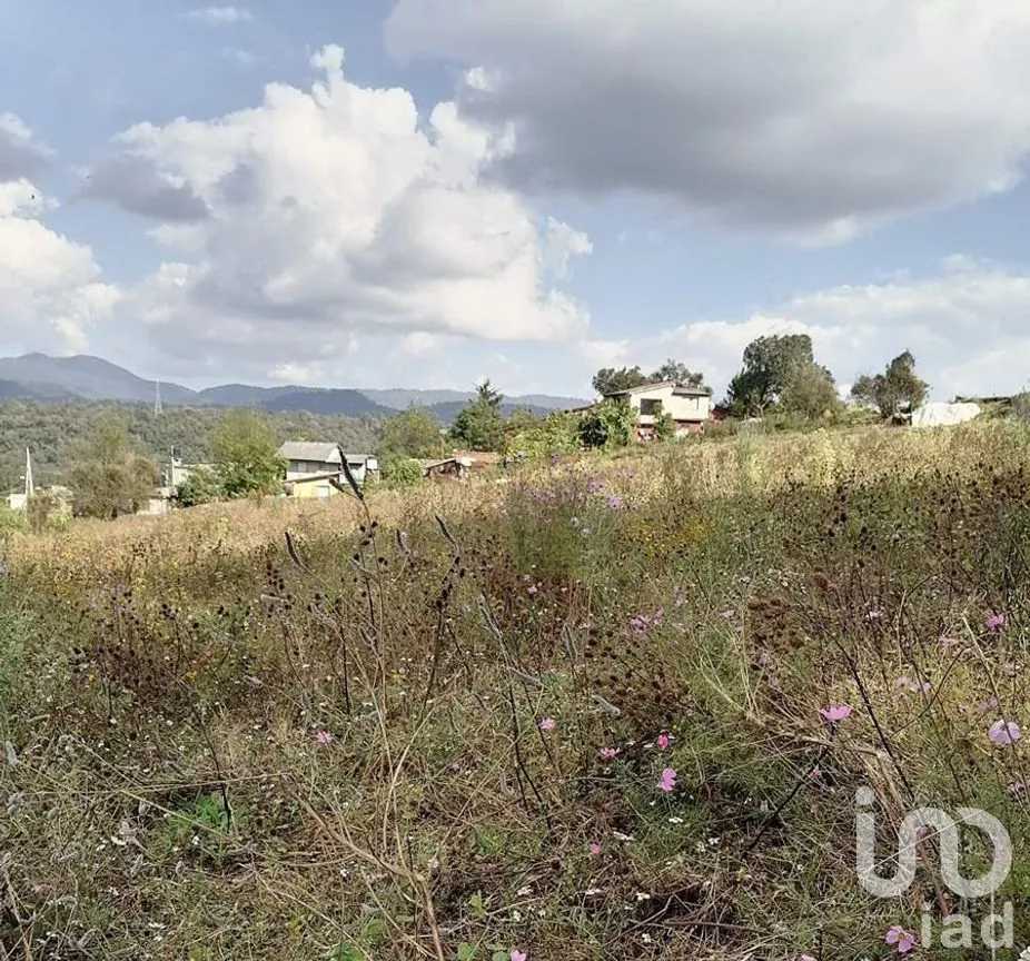 Terreno en Venta en Cuadrilla de Dolores, Valle de Bravo, Estado De México | NEX-227265 | iad México | Foto 12 de 13