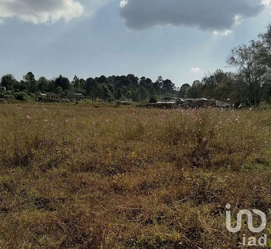 Terreno en Venta en Cuadrilla de Dolores, Valle de Bravo, Estado De México | NEX-227265 | iad México | Foto 13 de 13