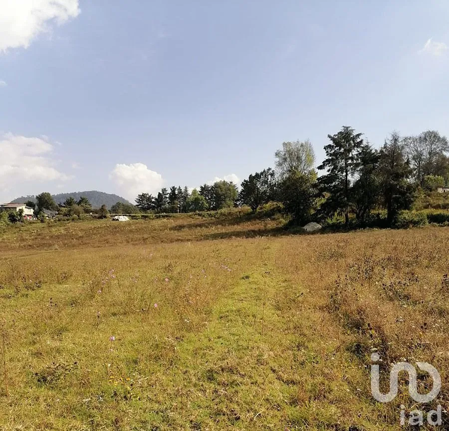 Terreno en Venta en Cuadrilla de Dolores, Valle de Bravo, Estado De México | NEX-227265 | iad México | Foto 5 de 13