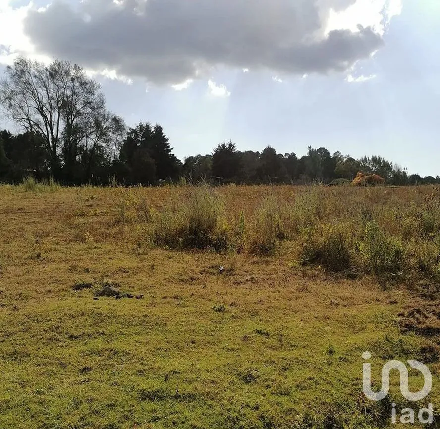 Terreno en Venta en Cuadrilla de Dolores, Valle de Bravo, Estado De México | NEX-227265 | iad México | Foto 6 de 13