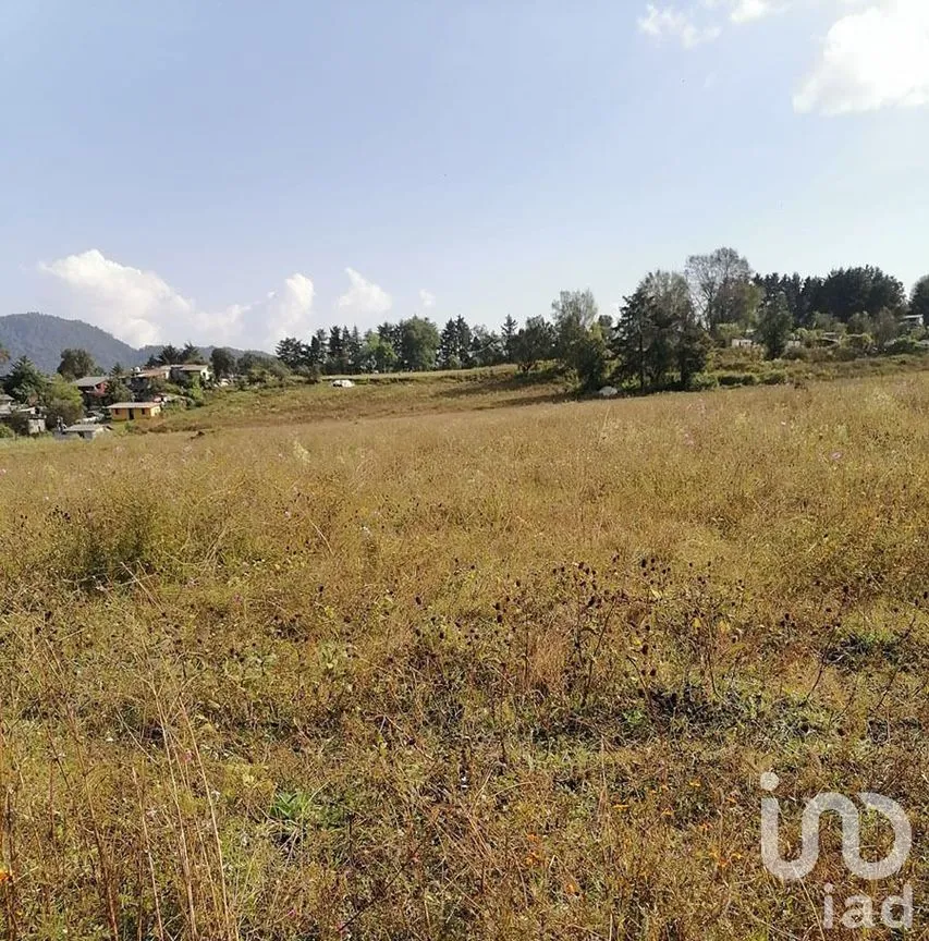 Terreno en Venta en Cuadrilla de Dolores, Valle de Bravo, Estado De México | NEX-227265 | iad México | Foto 8 de 13