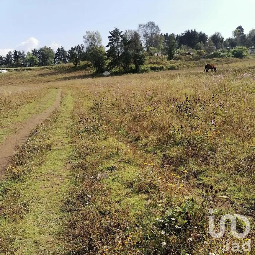 Terreno en Venta en Cuadrilla de Dolores, Valle de Bravo, Estado De México | NEX-227265 | iad México | Foto 9 de 13