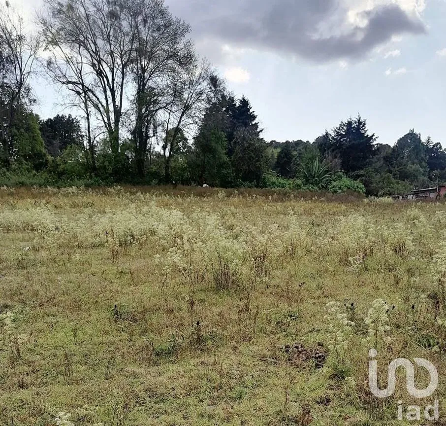 Terreno en Venta en Cuadrilla de Dolores, Valle de Bravo, Estado De México | NEX-227265 | iad México | Foto 10 de 13