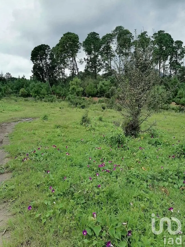 Terreno en Venta en El Fresno, Valle de Bravo, Estado De México | NEX-227266 | iad México | Foto 2 de 8