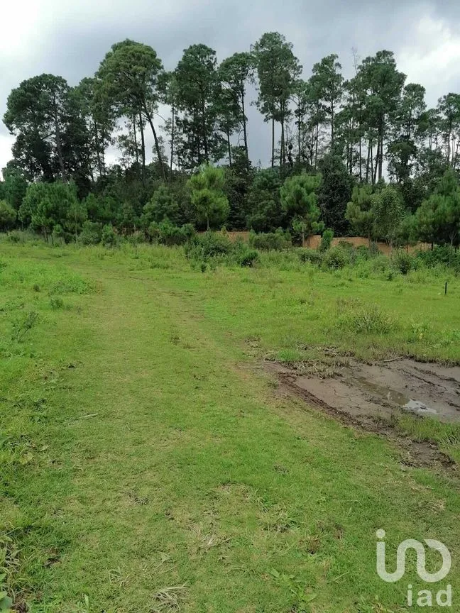 Terreno en Venta en El Fresno, Valle de Bravo, Estado De México | NEX-227266 | iad México | Foto 3 de 8