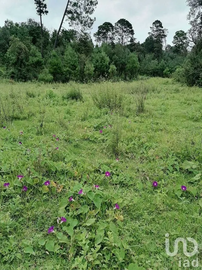 Terreno en Venta en El Fresno, Valle de Bravo, Estado De México | NEX-227266 | iad México | Foto 4 de 8