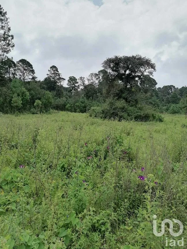 Terreno en Venta en El Fresno, Valle de Bravo, Estado De México | NEX-227266 | iad México | Foto 5 de 8
