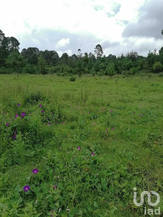 Terreno en Venta en El Fresno, Valle de Bravo, Estado De México | NEX-227266 | iad México | Foto 6 de 8