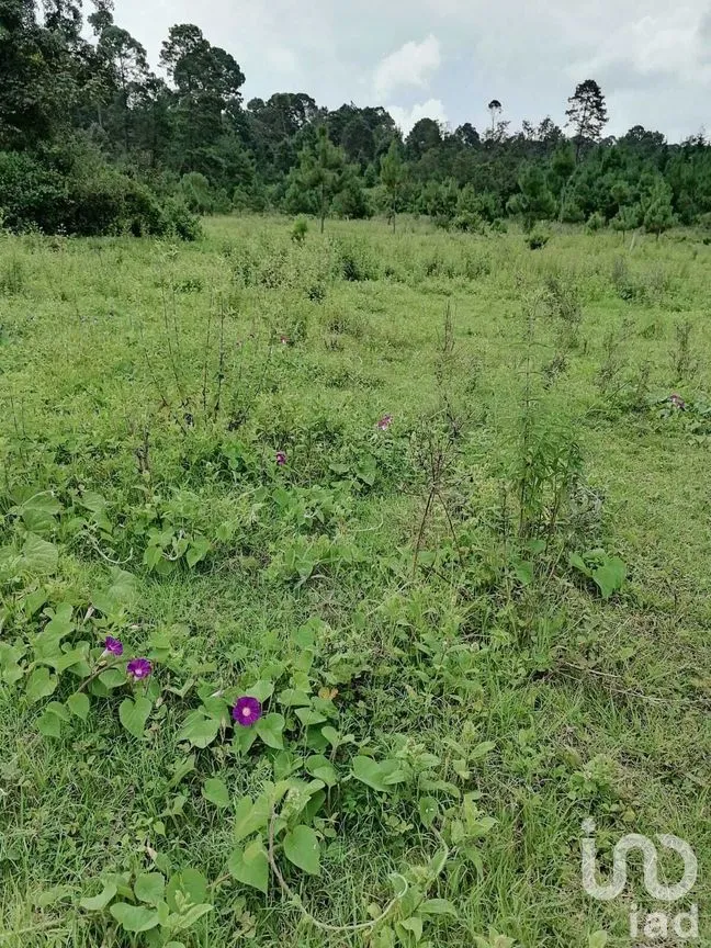 Terreno en Venta en El Fresno, Valle de Bravo, Estado De México | NEX-227266 | iad México | Foto 8 de 8