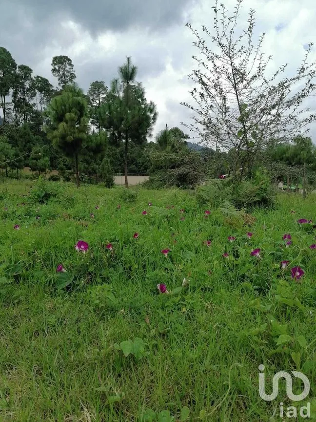 Terreno en Venta en El Fresno, Valle de Bravo, Estado De México | NEX-227266 | iad México | Foto 1 de 8