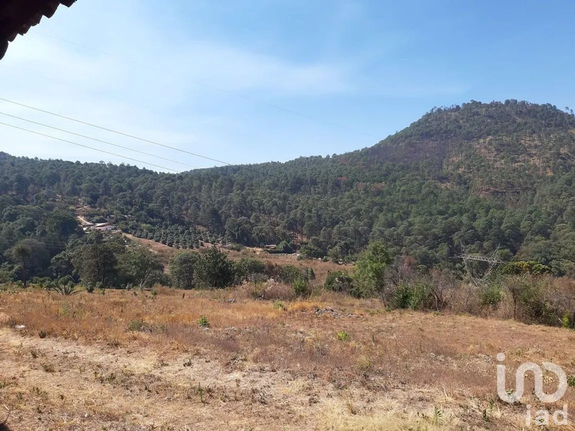 Terreno en Venta en Santa Teresa Tilostoc, Valle de Bravo, Estado De México | NEX-227268 | iad México | Foto 2 de 19