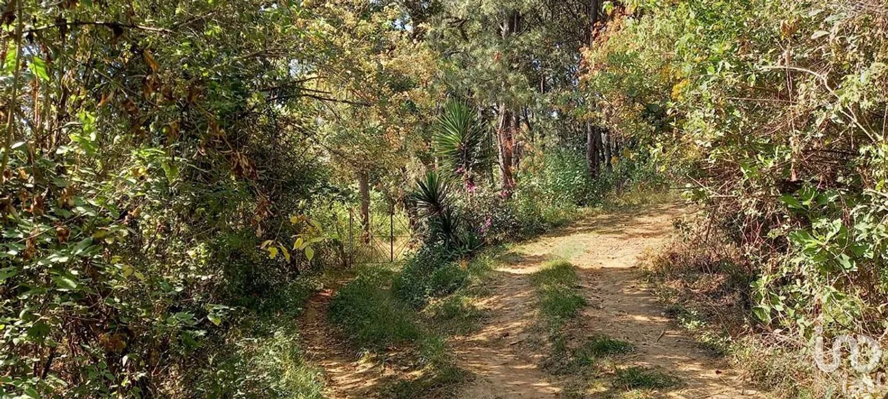Terreno en Venta en Santa Teresa Tilostoc, Valle de Bravo, Estado De México | NEX-227268 | iad México | Foto 11 de 19