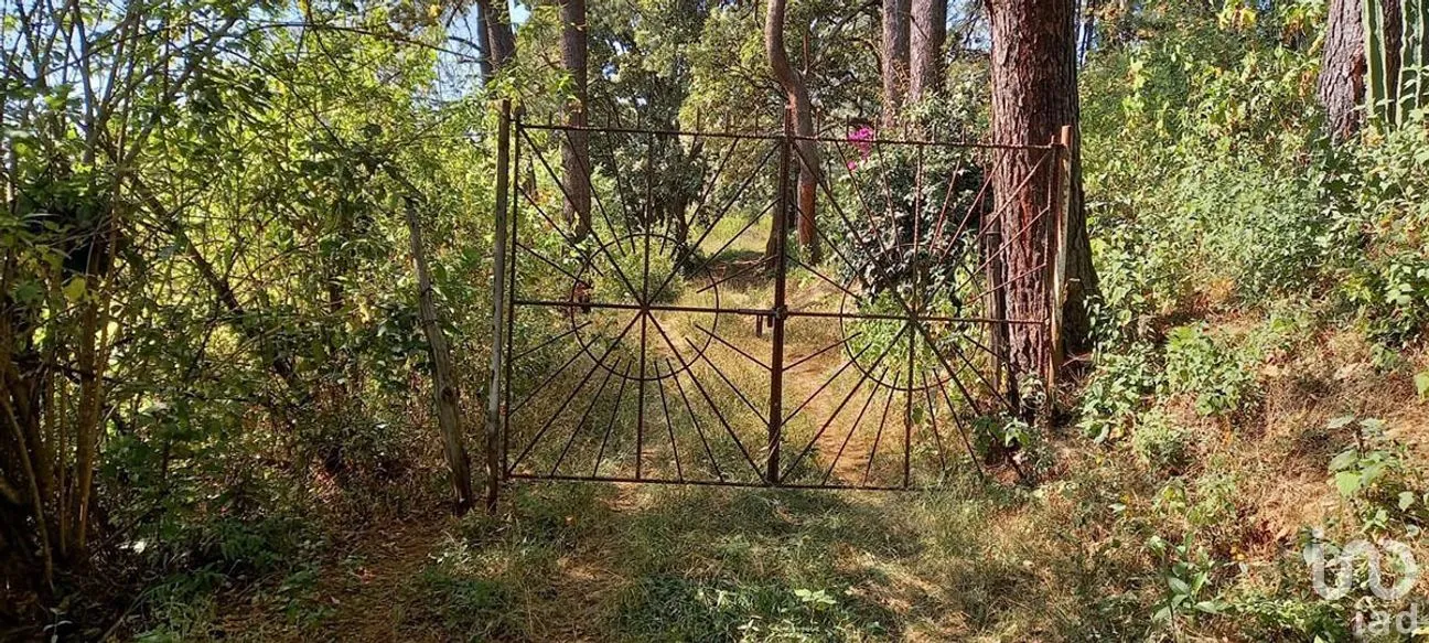 Terreno en Venta en Santa Teresa Tilostoc, Valle de Bravo, Estado De México | NEX-227268 | iad México | Foto 13 de 19