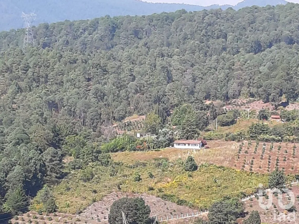 Terreno en Venta en Santa Teresa Tilostoc, Valle de Bravo, Estado De México | NEX-227268 | iad México | Foto 17 de 19