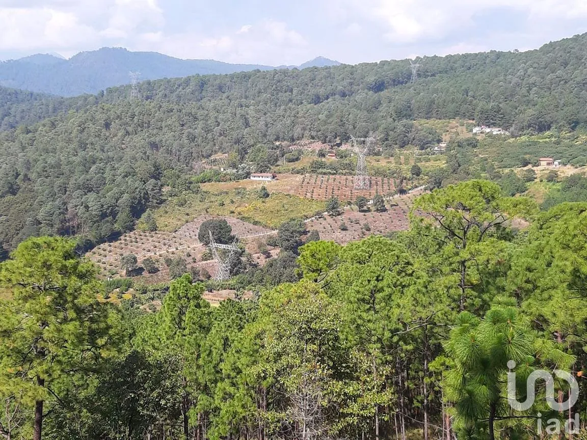 Terreno en Venta en Santa Teresa Tilostoc, Valle de Bravo, Estado De México | NEX-227268 | iad México | Foto 18 de 19