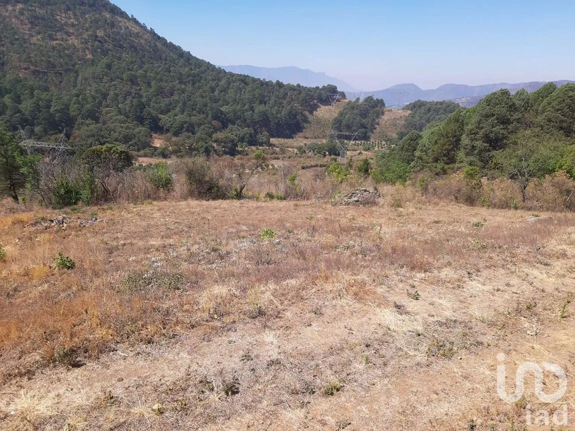 Terreno en Venta en Santa Teresa Tilostoc, Valle de Bravo, Estado De México | NEX-227268 | iad México | Foto 4 de 19