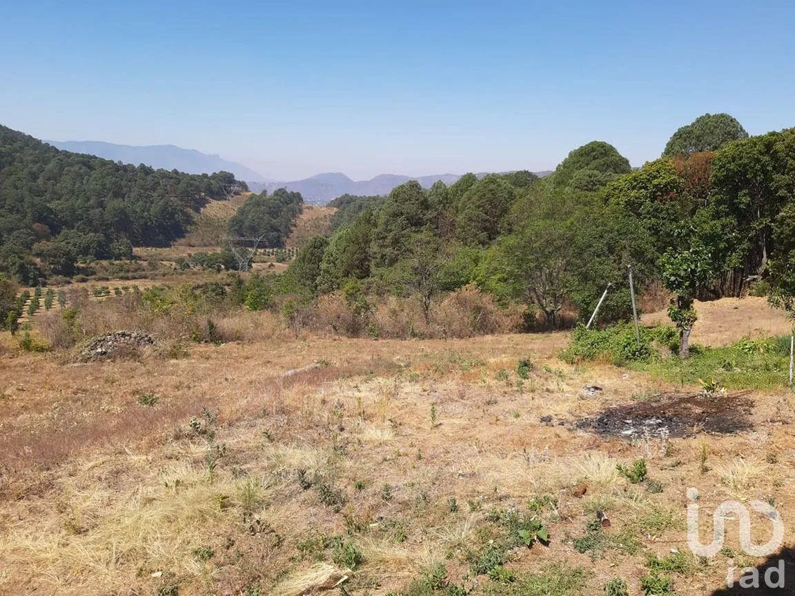 Terreno en Venta en Santa Teresa Tilostoc, Valle de Bravo, Estado De México | NEX-227268 | iad México | Foto 5 de 19