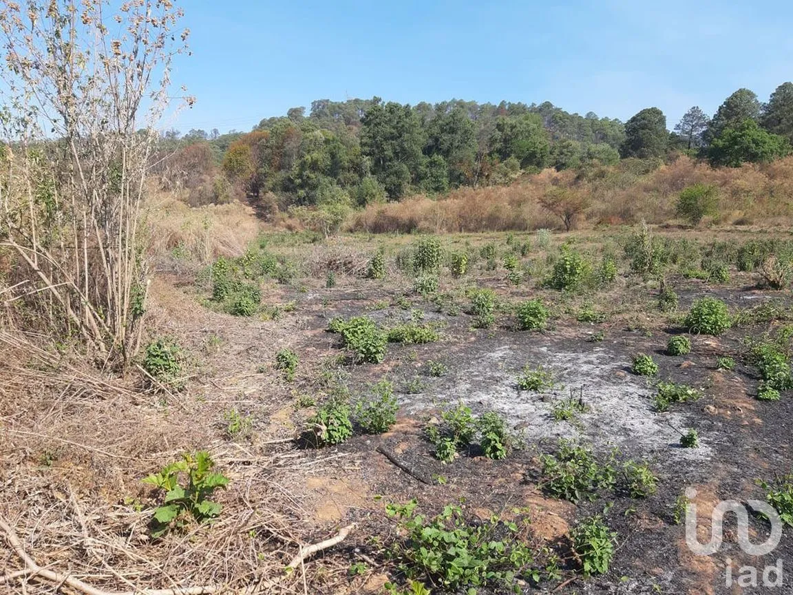 Terreno en Venta en Santa Teresa Tilostoc, Valle de Bravo, Estado De México | NEX-227268 | iad México | Foto 6 de 19