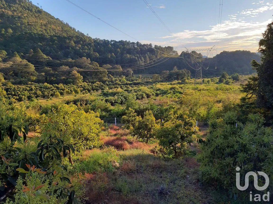 Terreno en Venta en Santa Teresa Tilostoc, Valle de Bravo, Estado De México | NEX-227268 | iad México | Foto 8 de 19