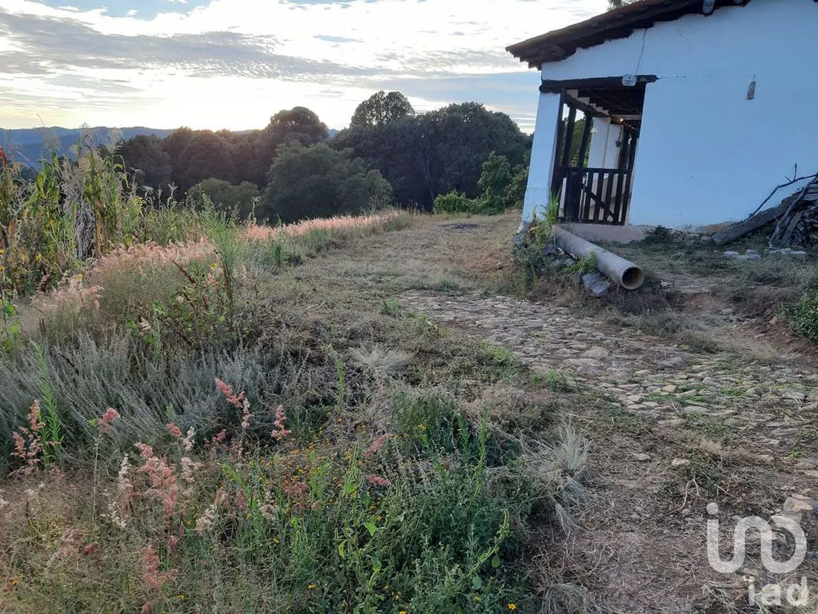 Terreno en Venta en Santa Teresa Tilostoc, Valle de Bravo, Estado De México | NEX-227268 | iad México | Foto 9 de 19