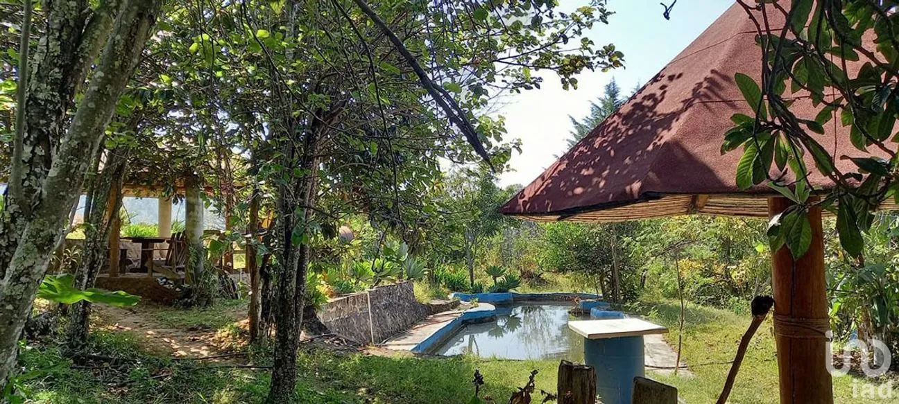 Terreno en Venta en Santa Teresa Tilostoc, Valle de Bravo, Estado De México | NEX-227268 | iad México | Foto 10 de 19