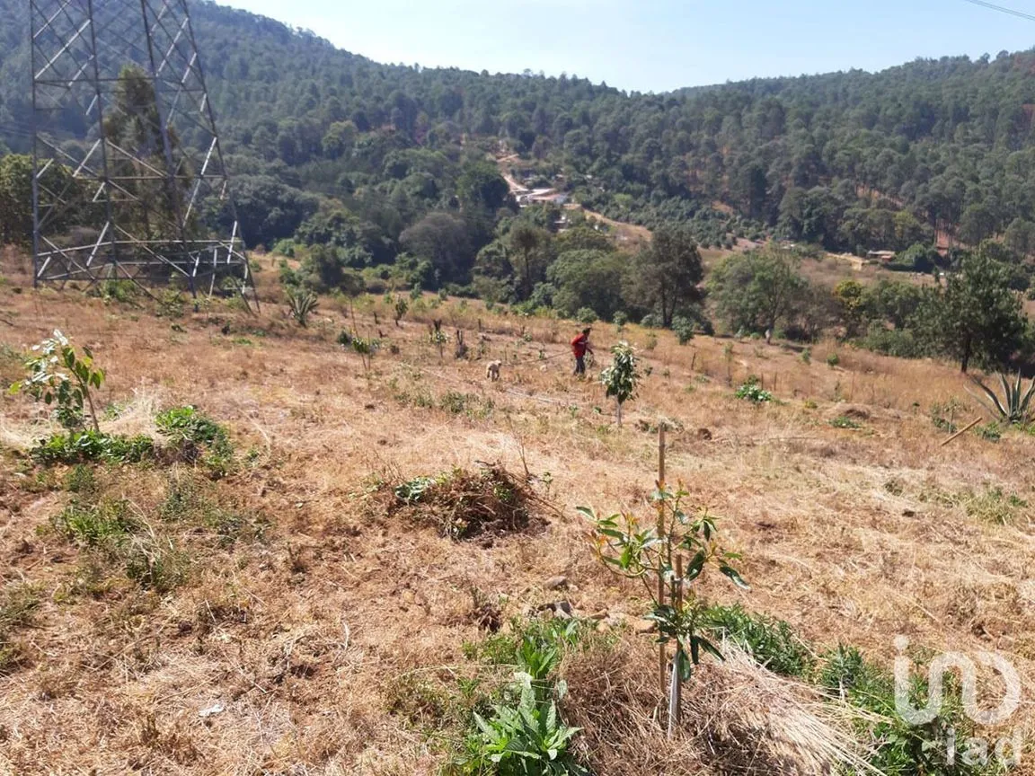 Terreno en Venta en Santa Teresa Tilostoc, Valle de Bravo, Estado De México | NEX-227268 | iad México | Foto 1 de 19